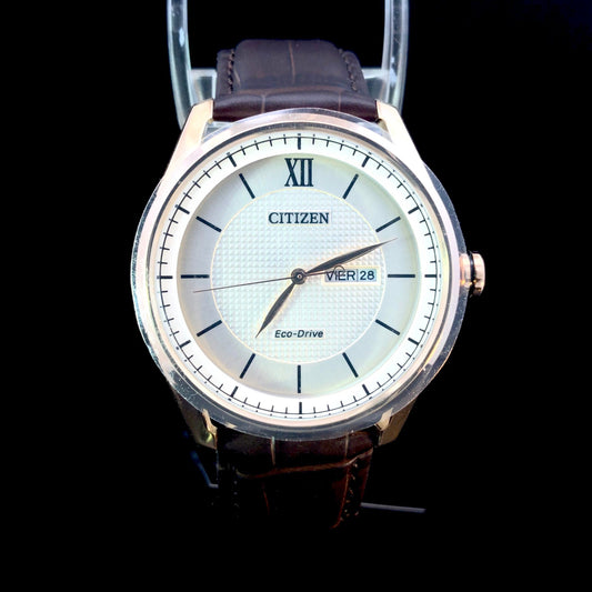 165255 - Men's Citizen watch