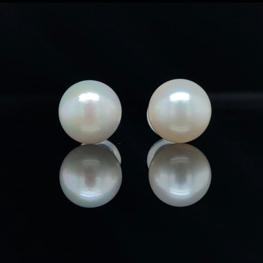 Pearl Earrings