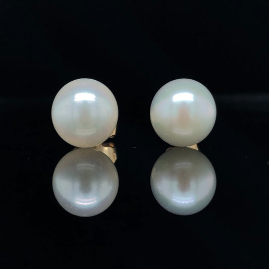 Pearl earrings